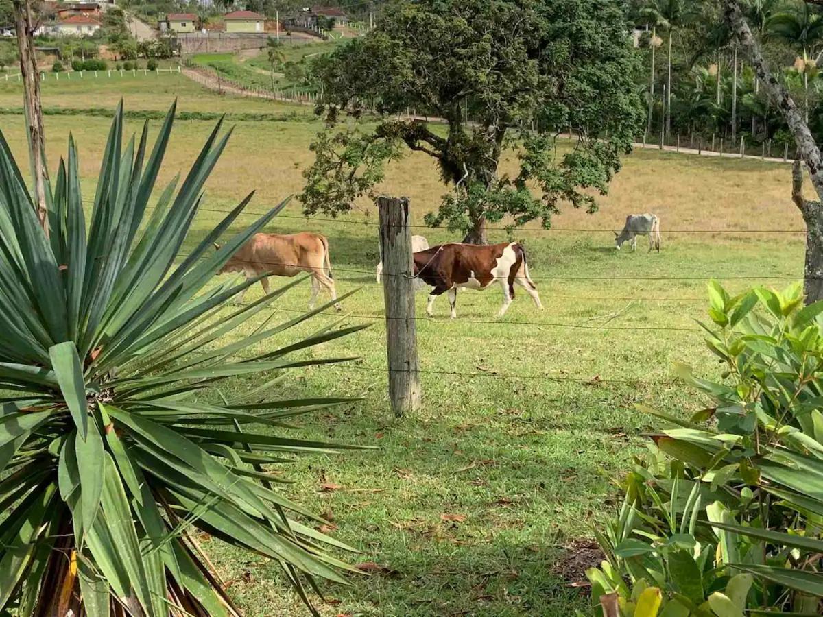 Sitio Canta Galo Governador Celso Ramos Exterior foto